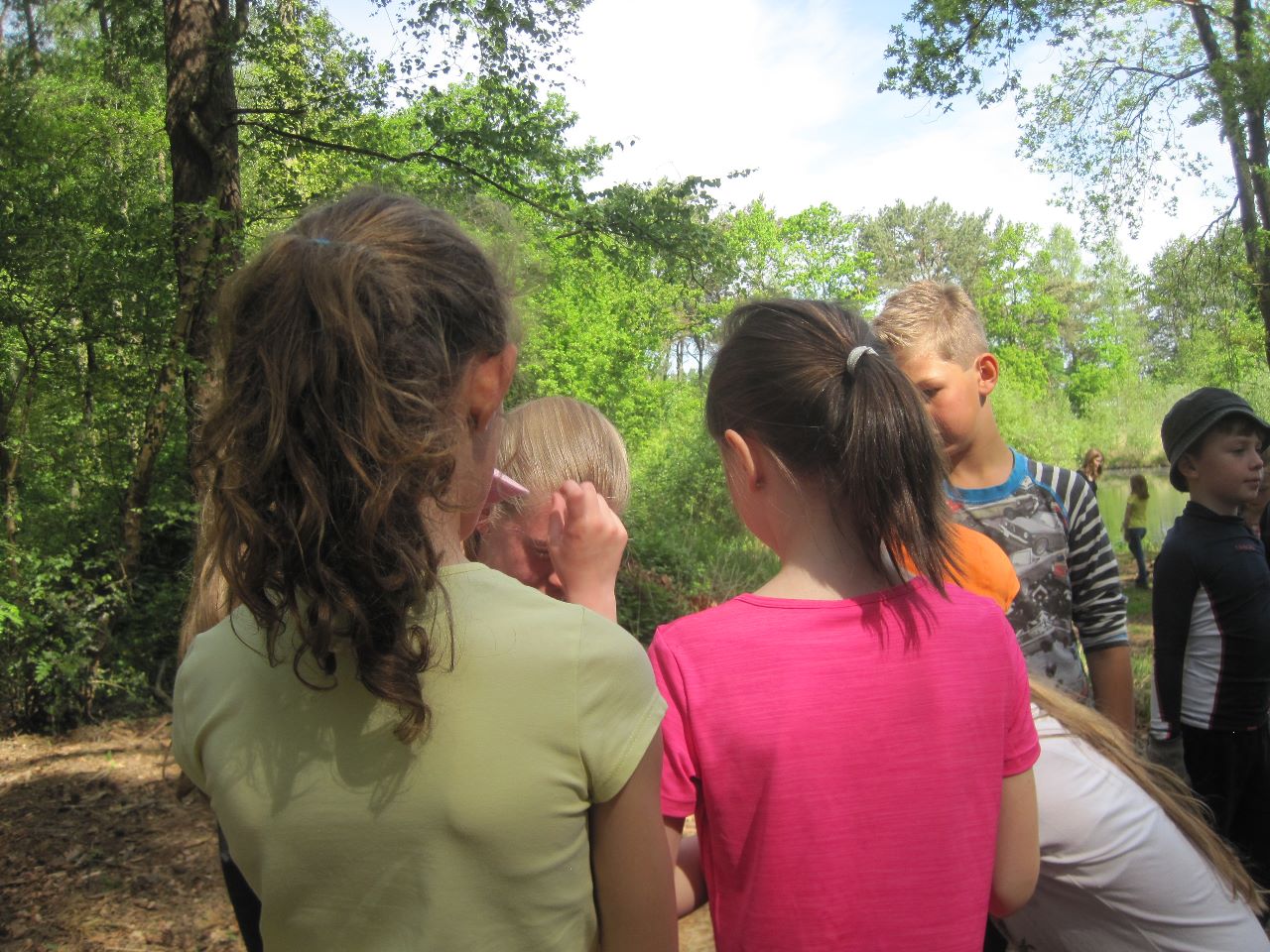 Werken in het Griesbroek samen met de mensen van Natuurpunt